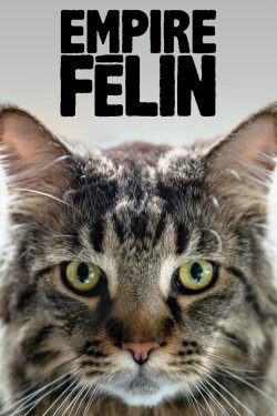 Cat Empire (2019) Cat Empire (2019)