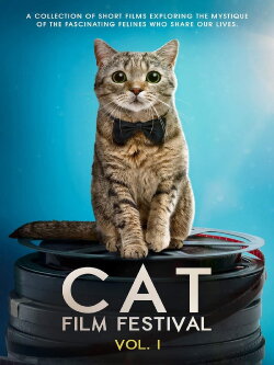 Cat Film Festival Vol. 1 (2020) Cat Film Festival Vol. 1 (2020)