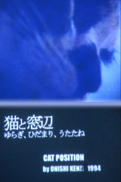 Cat Position (1994)