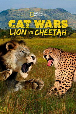 Cat Wars: Lion vs. Cheetah (2011) Cat Wars: Lion vs. Cheetah (2011)