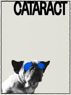Cataract (2021)