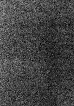 Catatonik (2022)