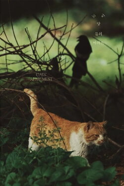 Cats' Apartment (2022) Cats' Apartment (2022)