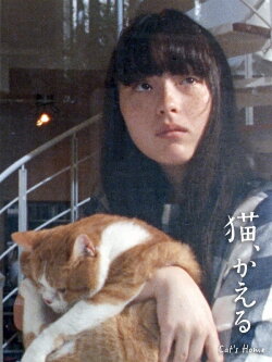 Cat's Home (2020)