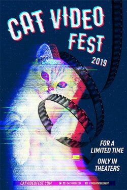 CatVideoFest 2019 (2019) CatVideoFest 2019 (2019)
