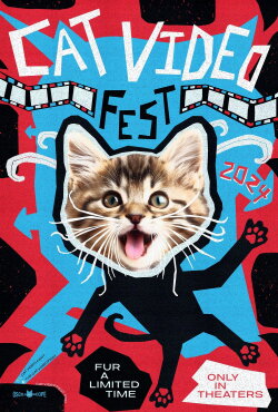 CatVideoFest 2024 (2024)