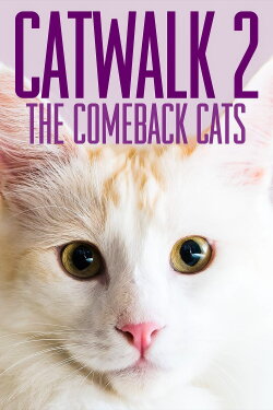 Catwalk 2: The Comeback Cats (2022) Catwalk 2: The Comeback Cats (2022)