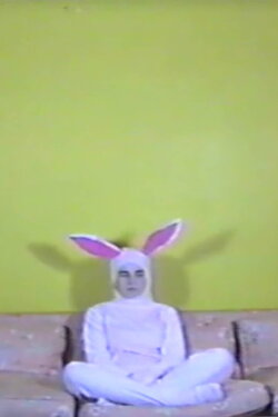 Caught in a Trap (2013)