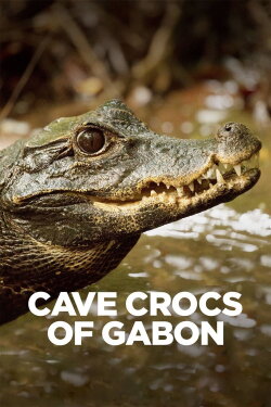 Cave Crocs of Gabon (2018) Cave Crocs of Gabon (2018)
