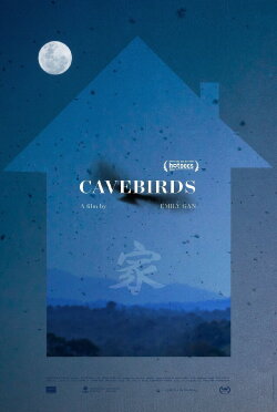 Cavebirds (2019)