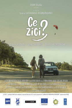 Ce Zici? (What Do You Think?) (2021)