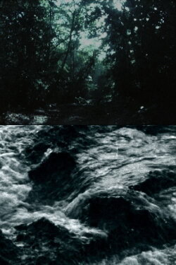 Ceiba (2016)