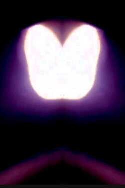 Celestial (2022) Celestial (2022)