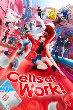 Cells at Work! (2024) Cells at Work! (2024)