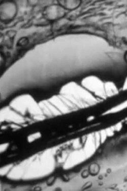Celluloid Warfare (2009) Celluloid Warfare (2009)