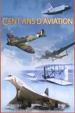 Cent ans d'aviation (2013)