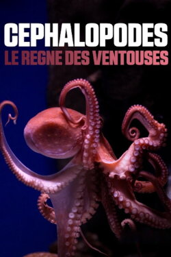Cephalopods: The Reign of Suckers (2020) Cephalopods: The Reign of Suckers (2020)