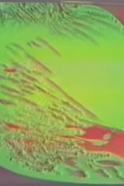 C'era una volta un Re (1973) C'era una volta un Re (1973)