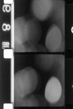 Certaines Observations (1979)