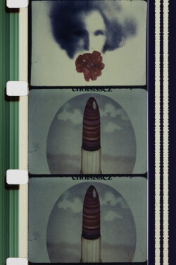 C'est Fou ! (1977)