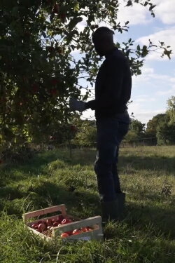 C’est pas parce qu’on est dans la galère qu’on doit mal bouffer (2023)
