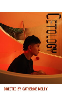 Cetology (2023)