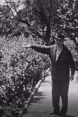 Chagall dans son jardin a Saint-Paul-de-Vence (1970) Chagall dans son jardin a Saint-Paul-de-Vence (1970)