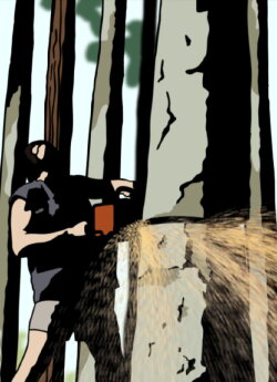 Chainsaw (2007)