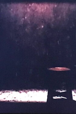 CHAIR / SCREEN (2003) CHAIR / SCREEN (2003)