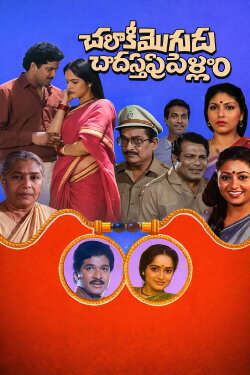 Chalaki Mogudu Chadastapu Pellam (1989)