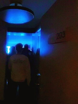 Chambre 203 (2024)