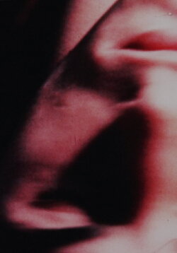 Chameleon (1969) Chameleon (1969)