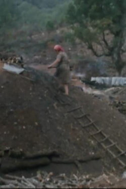Charbonniers (1990)