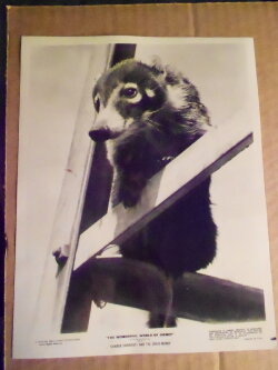 Charlie Crowfoot and the Coati Mundi (1971) Charlie Crowfoot and the Coati Mundi (1971)