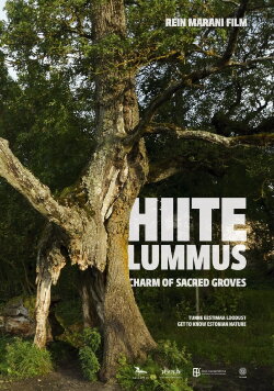 Charm of Sacred Groves (2013) Charm of Sacred Groves (2013)