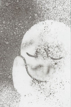 CHARON Pluto’s lonesomeness (2016) CHARON Pluto’s lonesomeness (2016)