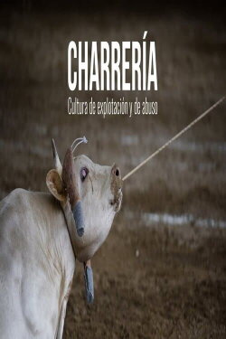 Charrería: Cultura de explotación y e abuso (2019) Charrería: Cultura de explotación y e abuso (2019)