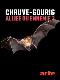 Chauve-souris: alliée ou ennemie? (2021) Chauve-souris: alliée ou ennemie? (2021)