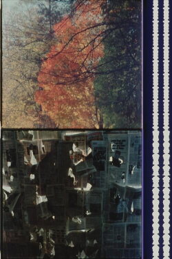 Cheap Imitations Part V/VI: Terms of Analysis (1982) Cheap Imitations Part V/VI: Terms of Analysis (1982)