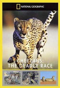 Cheetahs: The Deadly Race (2002) Cheetahs: The Deadly Race (2002)