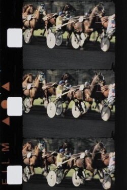 Chevaux couleur (1988) Chevaux couleur (1988)