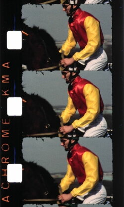 Chevaux (Introduction) (1987)