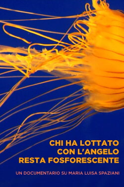 Chi ha lottato con l'angelo resta fosforescente (2013) Chi ha lottato con l'angelo resta fosforescente (2013)