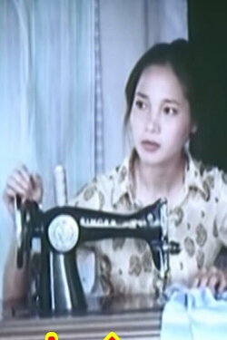 Chiếc Bình Cổ (1984) Chiếc Bình Cổ (1984)