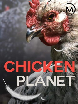 Chicken Planet (2016) Chicken Planet (2016)