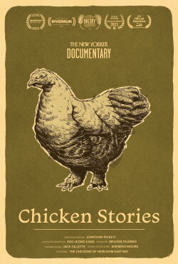 Chicken Stories (2023) Chicken Stories (2023)