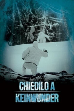Chiedilo a Keinwunder (2014) Chiedilo a Keinwunder (2014)