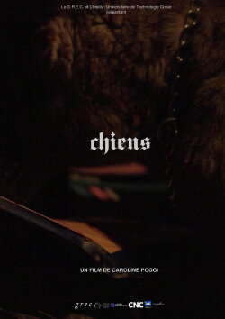 Chiens (2013) Chiens (2013)