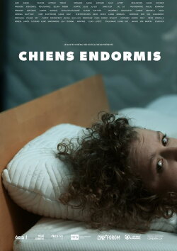 Chiens endormis (2020)