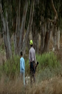 Children of Jerusalem: Ibrahim (1996) Children of Jerusalem: Ibrahim (1996)
